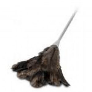 B-21002 Feather Duster (5/ctn)