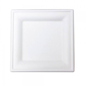 Plate Natural Fibre Square (8") 200mm (500/ctn)  | (25/slv)