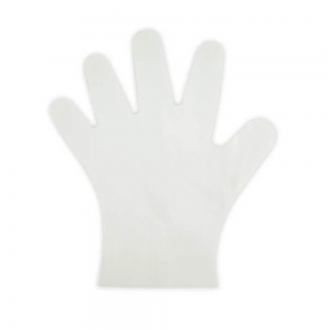 Bio Large Compostable Glove Large (1000/ctn)