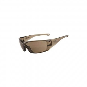 Tinted Safety glasses (1)